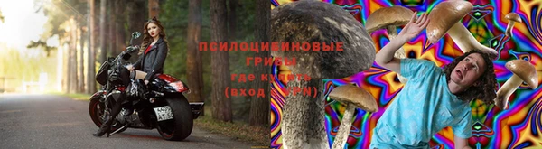 амф Зеленокумск